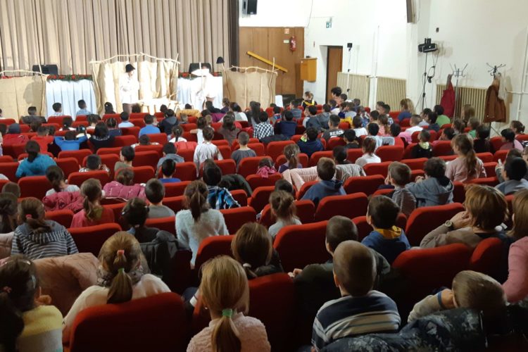 Csacsifogat 2019